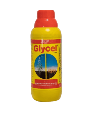 Glycel (Box of 10 bottles)