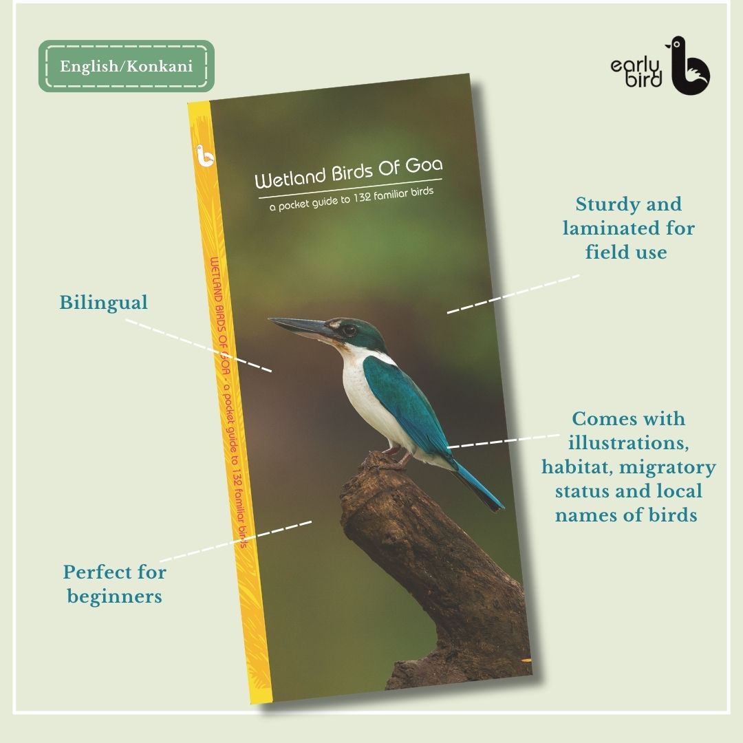 Early Bird Pocket Guides
