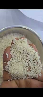 Gobindobhog Rice - 50kg Gobindobhog Rice - 50kg