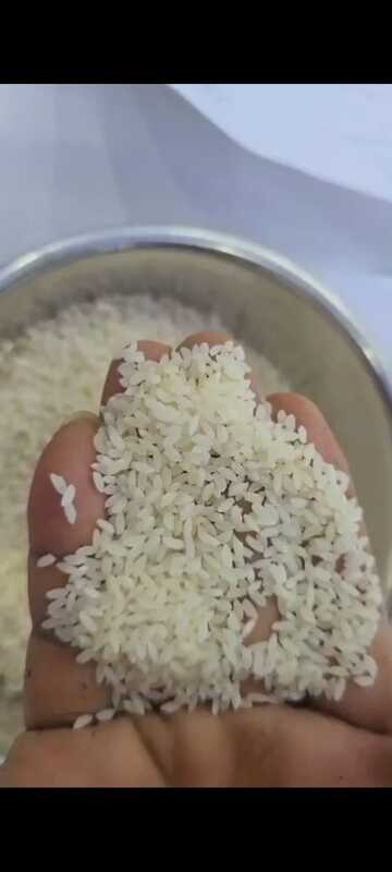 Gobindobhog Rice - 50kg Gobindobhog Rice - 50kg