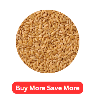 Whole Wheat 1kg - Discounted Price Whole Wheat 1kg - Discounted Price