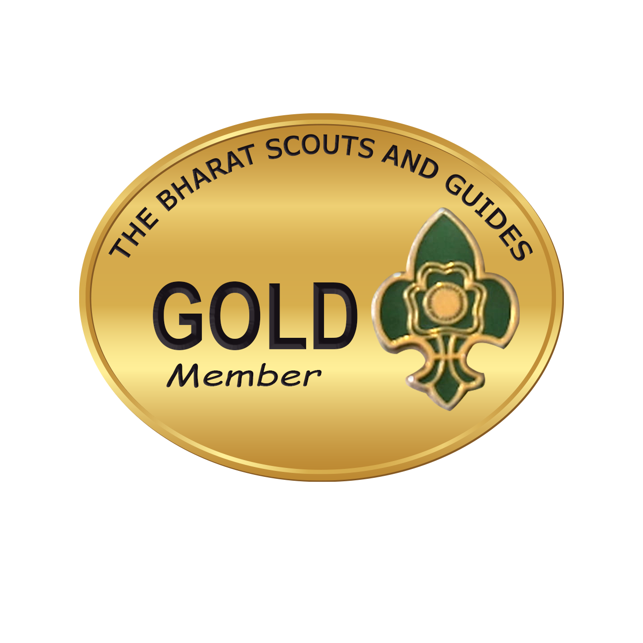 Gold Member