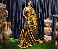 Tissue Gold with Zardozi Border