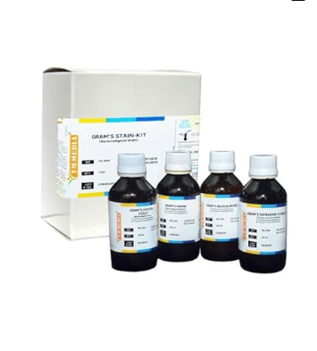 GRAM'S STAIN KIT_ 1 KIT | Bacteriological Stain.