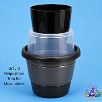 Gravid Oviposition Trap for Mosquitoes