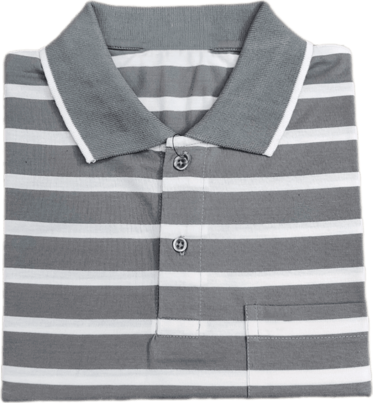 Polo Stripes Tshirt