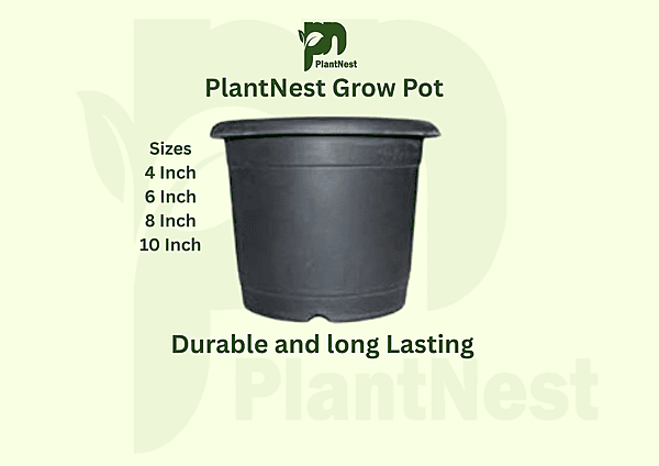 Nursery Grow Pot - Set of 10