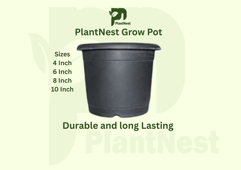 Nursery Grow Pot - Set of 10
