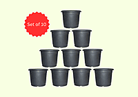 Nursery Grow Pot - Set of 10
