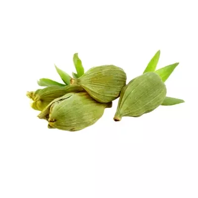 Green Cardamom Large