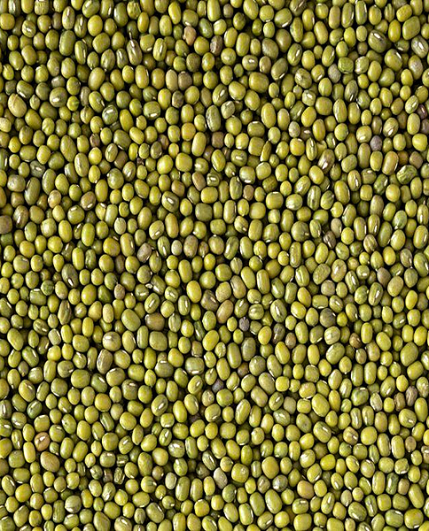 Pacha Payiru-Green Gram