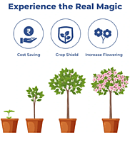 FLOWER MAGIC - Effective Flowering Stimulant and Enhancer,