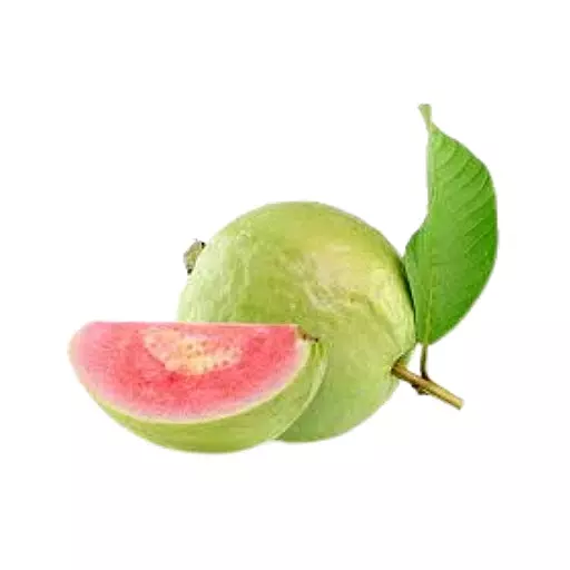 Guava (Koyyapalam)