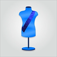 Sash   - Guide Uniform