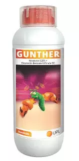 Gunther Insecticide