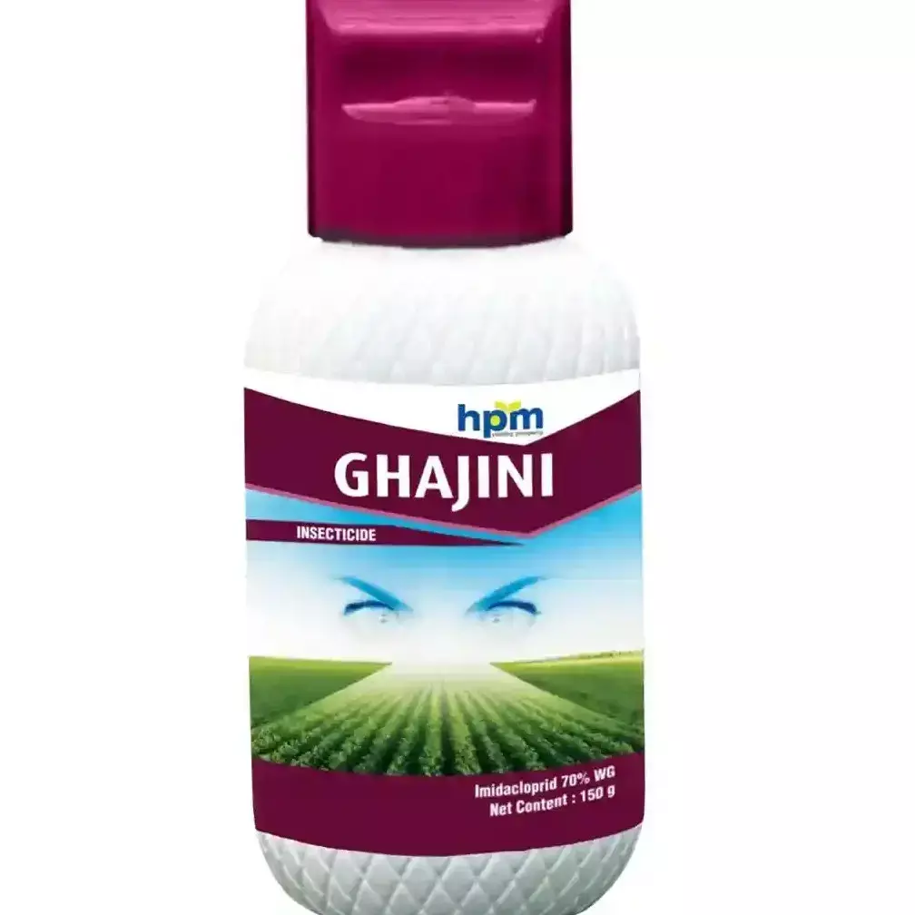 Ghajini -(HPM)