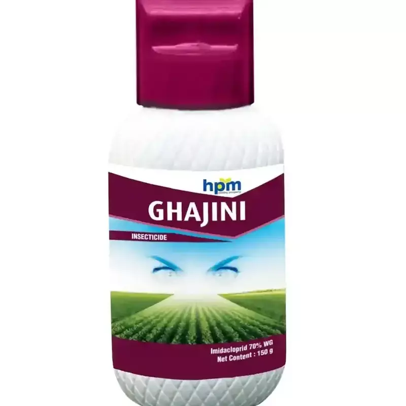 Ghajini -(HPM)