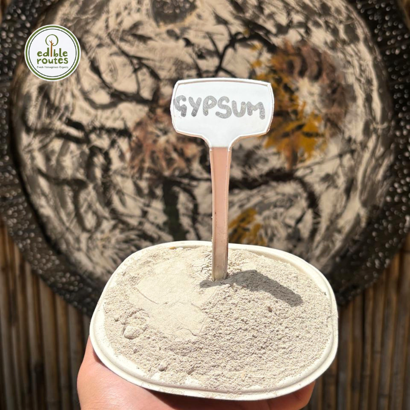 Gypsum - 50 Kg Bag