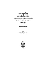 H181A Bhagwadgita Ka Sarvajanin Sandesh ( भगवद्गीता का सार्वजनीन सन्देश ) - Set of 3 Books