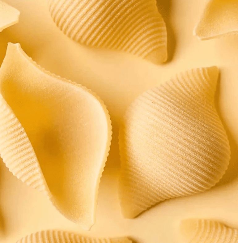 Pastificio Bragagnolo Conchiglioni 500g Bronze Die Italian Wheat (Pack of 10)
