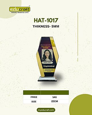 HAT-1017 22CM 18%