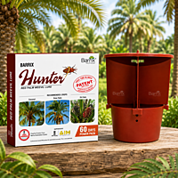 Barrix Hunter Red Palm Trap and Lure | Vetrivel Agro Services