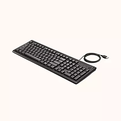 HP 100 Wired USB Desktop Keyboard (Black)