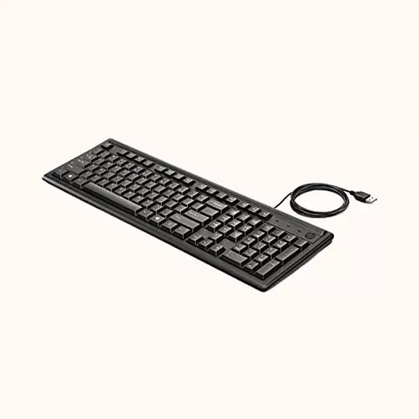 HP 100 Wired USB Desktop Keyboard  (Black)