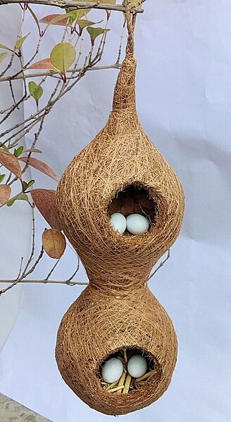 Coir Hanging Bird Nest | Double Chamber | Natural Bird House for Garden & Balcony