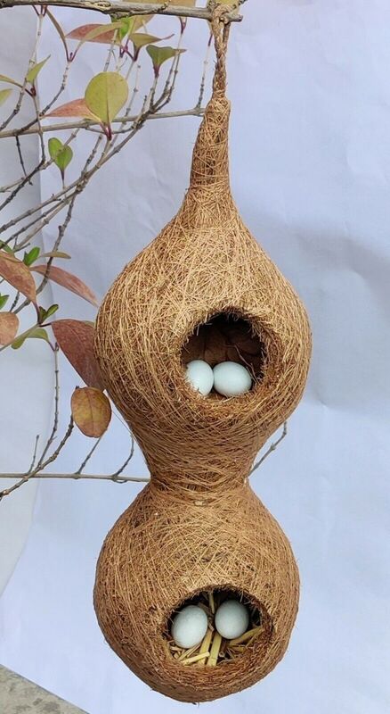 Coir Hanging Bird Nest | Double Chamber | Natural Bird House for Garden & Balcony