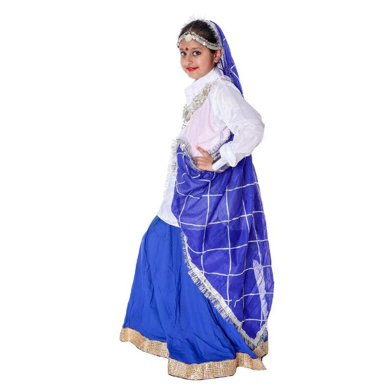Haryanvi Dance Lehenga Dress Blue & White