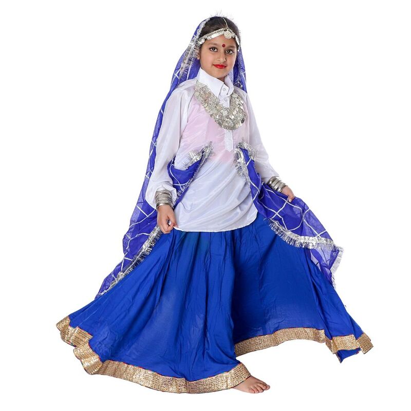 Haryanvi Dance Lehenga Dress Blue & White Haryanvi Dance Lehenga Dress Blue & White
