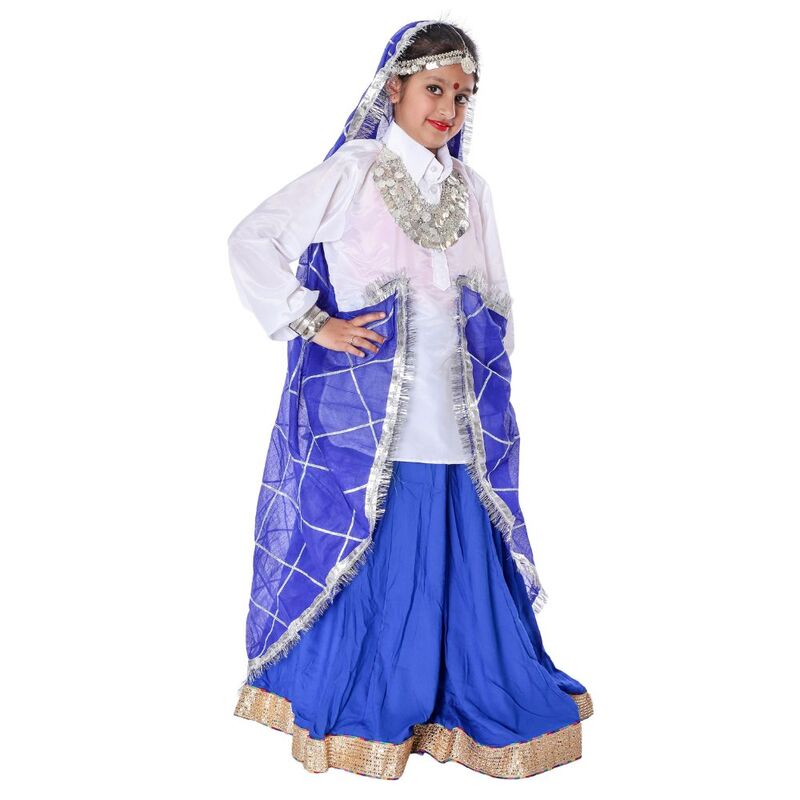 Haryanvi Dance Lehenga Dress Blue & White