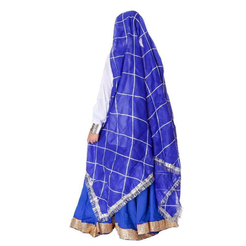 Haryanvi Dance Lehenga Dress Blue & White