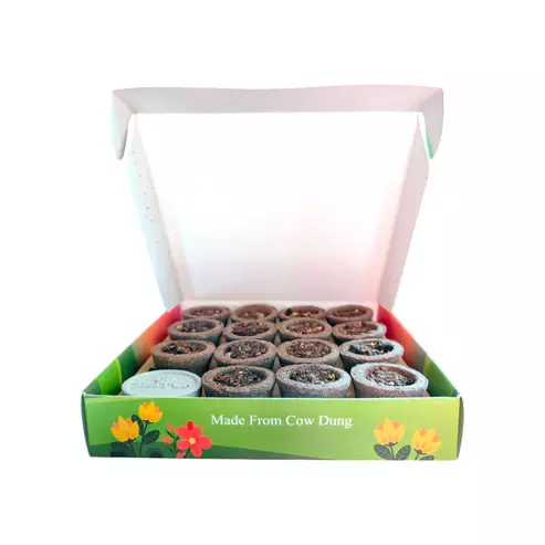 Tattva COW DUNG Havan Cups BIG