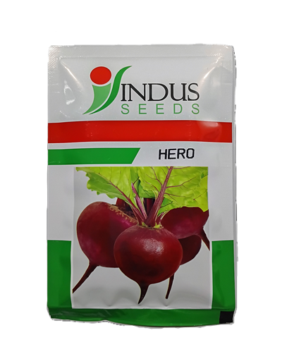 HERO ( HYBRID BEET) by INDUS SEEDS