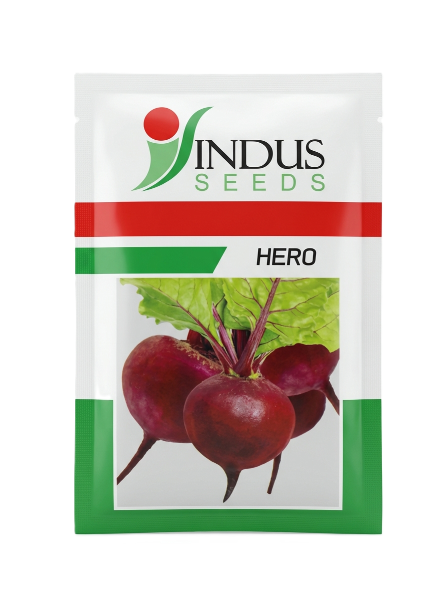 HERO ( HYBRID BEET) by INDUS SEEDS