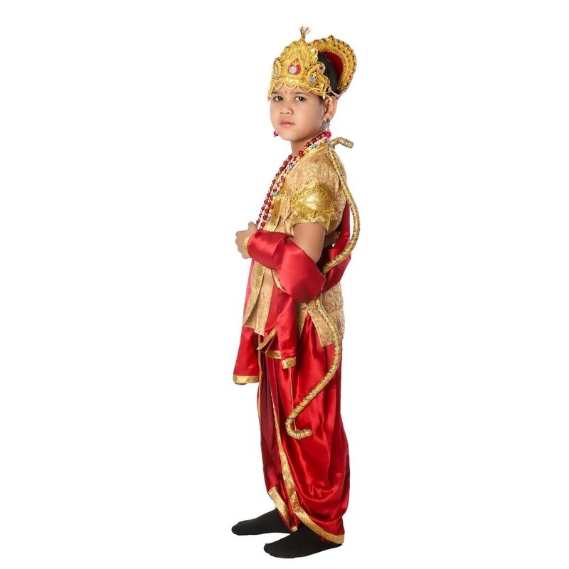 Hindu Raja Fancy Dress Costume