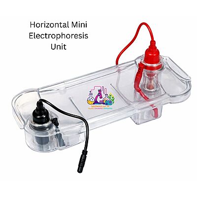 Horizontal Mini Electrophoresis Unit – Agarose Gel Electrophoresis System