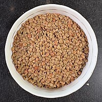 Horse Gram