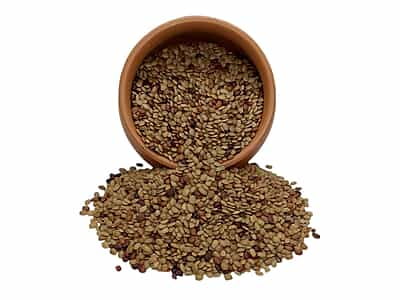 Organic Horse Gram Organic Horse Gram