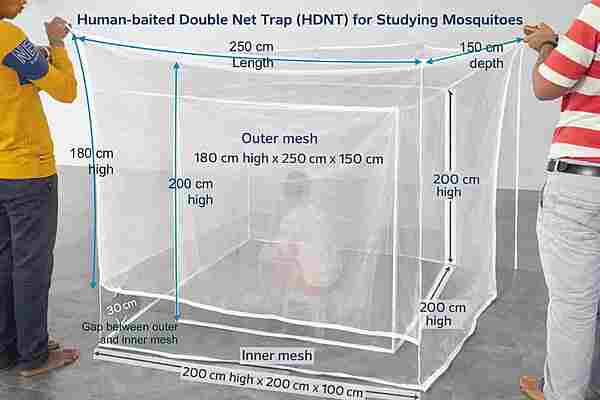 Human-baited Double Net Trap (HDNT) for Studying Mosquitoes