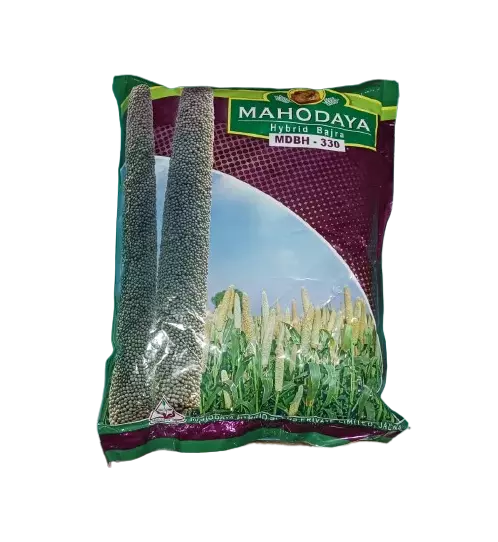 Hybrid Bajara MDBH-330 by Mahodaya Seeds