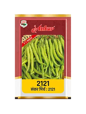 Hybrid Chilli ARCH - 2121 by Ankur Seeds