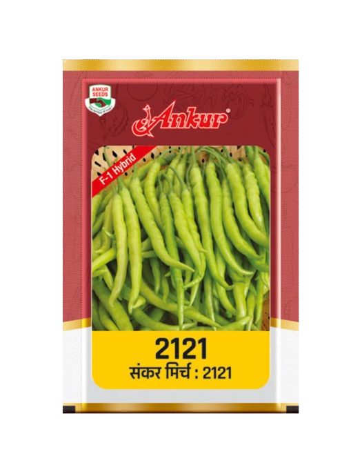 Hybrid Chilli ARCH - 2121 by Ankur Seeds