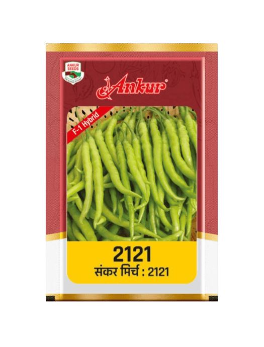 Hybrid Chilli ARCH - 2121 by Ankur Seeds