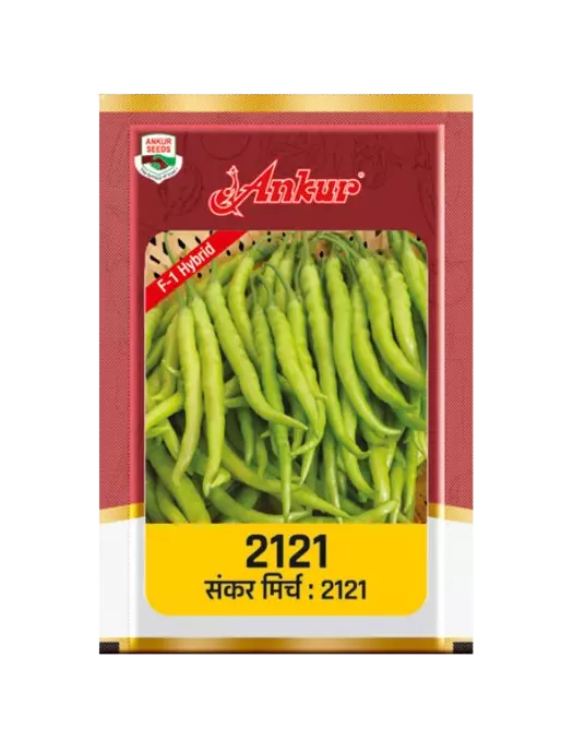 Hybrid Chilli ARCH - 2121 by Ankur Seeds