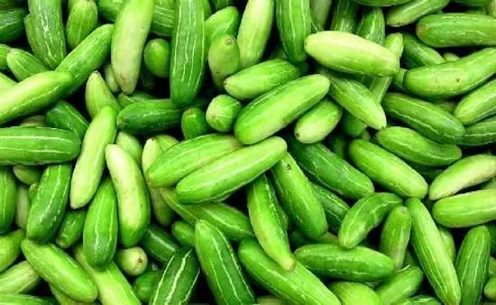 Hybrid Ivy Gourd(హైబ్రిడ్ దొండకాయ)