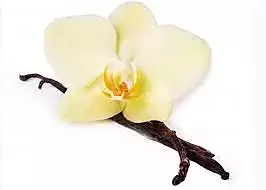IFF TRUSIL – Vanilla Special – 030040