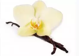 IFF TRUSIL – Vanilla Special – 030040